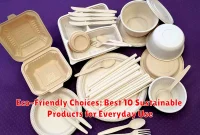 Eco-Friendly Choices: Best 10 Sustainable Products for Everyday Use