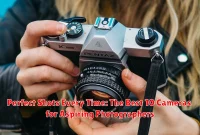 Perfect Shots Every Time: The Best 10 Cameras for Aspiring Photographers
