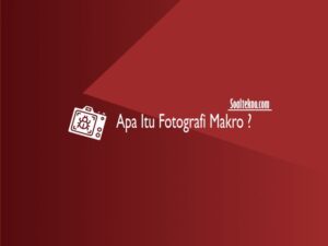 apa itu fotografi makro