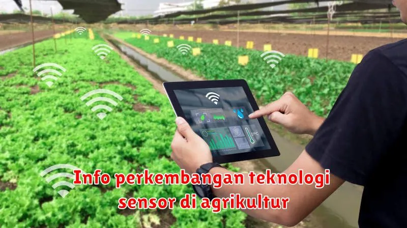 Info perkembangan teknologi sensor di agrikultur