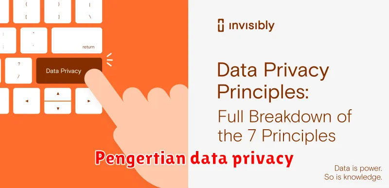 Pengertian data privacy