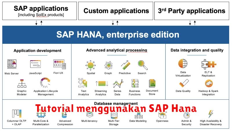 Tutorial menggunakan SAP Hana