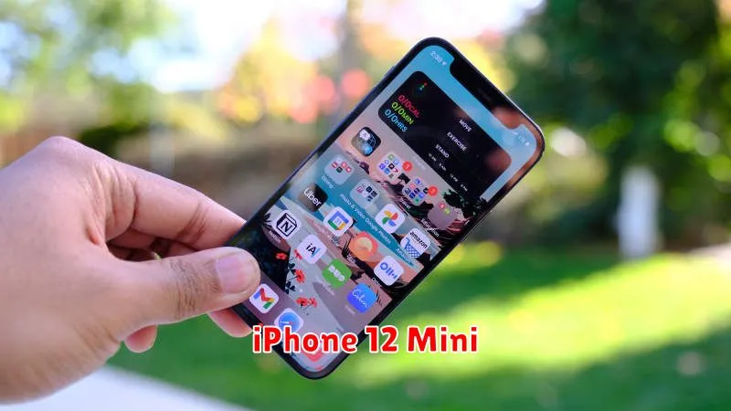 iPhone 12 Mini